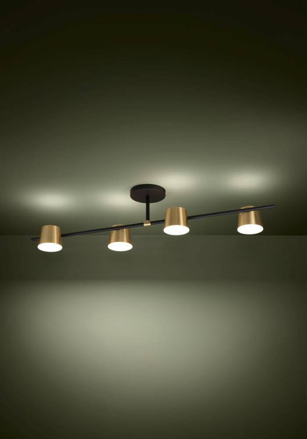 Потолочный светильник Eglo ALTAMIRA 39984