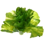 Муляж «Салат Латук» 17*15см