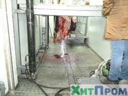 Комплекс убоя и переработки КРС до 20 голов/смена и МРС до 200 голов/смена. р. Татарстан