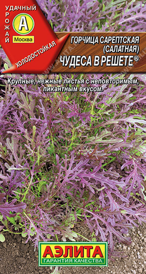 Горчица сарепская (салатная) Чудеса в решете