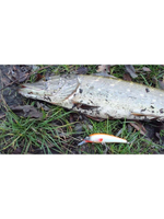 Воблер Минноу M-33 100mm, цвет 048 (окунь), 1 штука