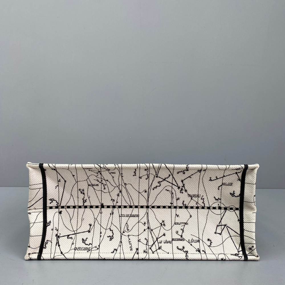 Christian Dior Book Tote 42 cm
