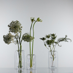 Ваза muse, 16 см