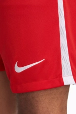 Шорты Nike Dri-Fit League 3