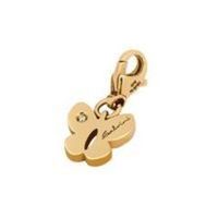 Salvini Charms