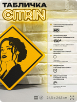 Табличка декоративная "Рианна, Rihanna" на дверь и стену, прикольная штука в подарок, декоративный знак, 24,5х24,5 см, пластиковая, Айдентика Технолоджи