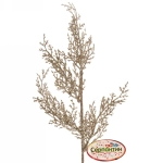 Ветка хвойная «Морозный иней» 50 см, Шампань
