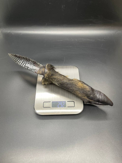 Обсидиановый нож с рукоятью копыта вепря 36 см