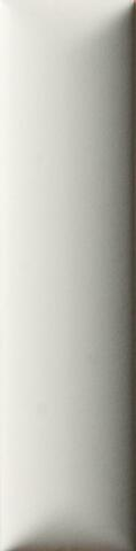 41zero42 Biscuit Dune Bianco 5x20