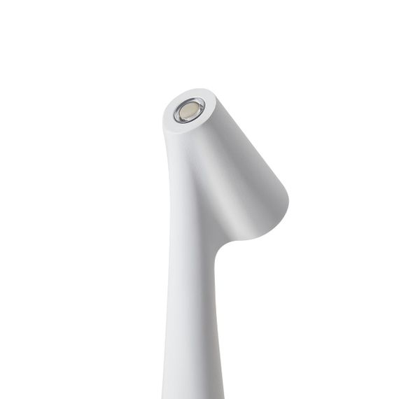 Настольная лампа Freya Clam FR6188TL-L3W