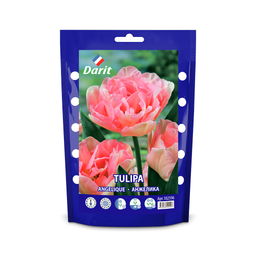 ЛУКОВИЦЫ ТЮЛЬПАН МАХРОВЫЙ ПОЗДНИЙ  ANGELIQUE 11/12, DARIT 7 ШТ/УП