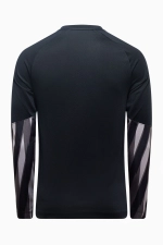 Футболка с длинными рукавами Nike Dri-FIT V Goalkeeper - черный