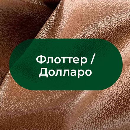 Флотер/Долларо