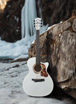 Акустическая гитара Gopherwood i232RC Pearl Dust