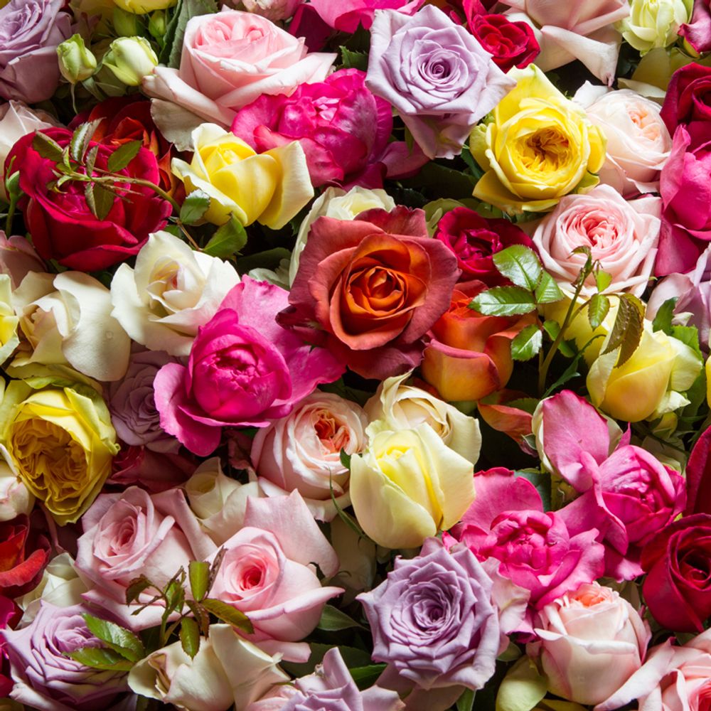 🌸 Розы микс в букетах на 8 марта