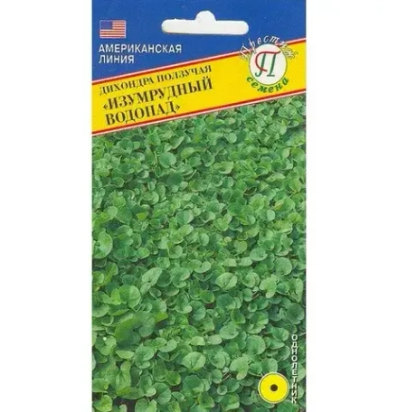 Дихондра Изумрудный водопад Престиж