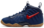 Кроссовки Nike Foamposite Pro (Женская размерная сетка)