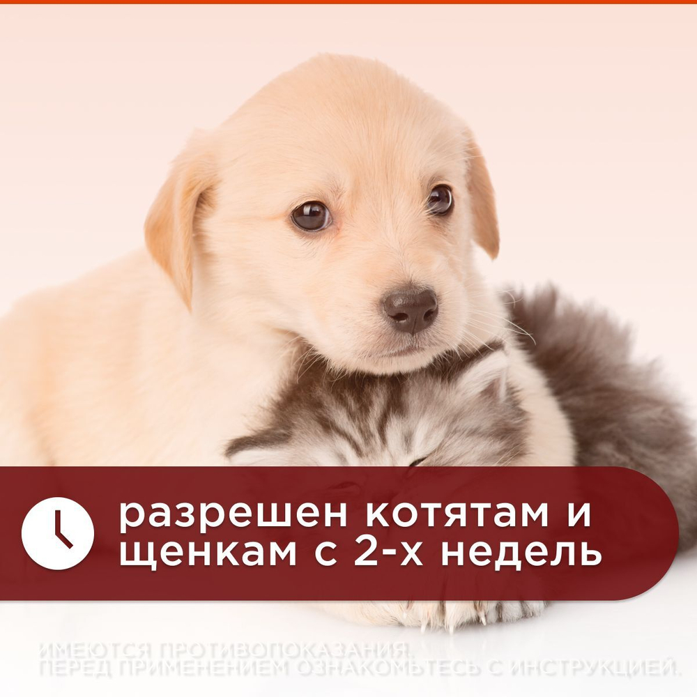 Таблетки от гельминтов для кошек и собак Чистотел Глистогон,6т Празиквантел/Пирантел