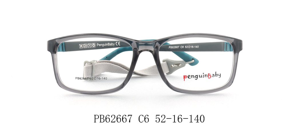 PB62667