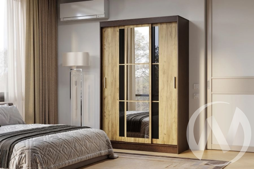 Шкаф-купе Денвер ШКК-03