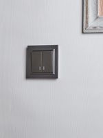 BRITE Выключатель 2-клавишный с индикацией 10А ВС10-2-1-БрС сталь IEK