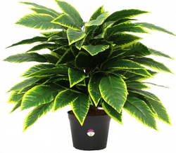 Растение искусственное Plant claims Croton lake 11374 в кашпо 65x70x70см