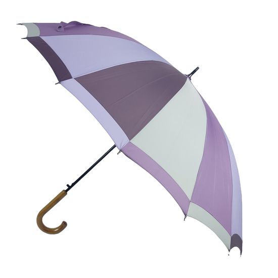 Женский зонт трость Три Слона, полуавтомат 2162-04