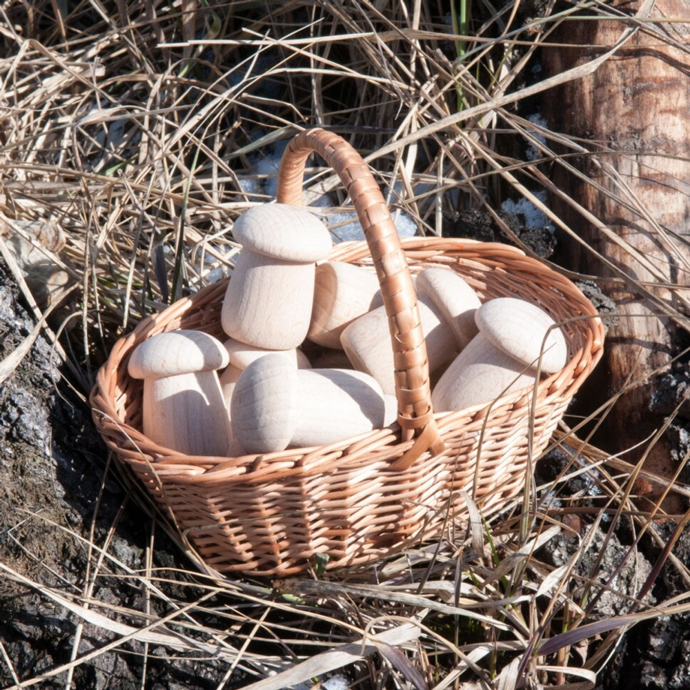 Счетный материал 12 боровичков в мешочке Неокрашенные Леснушки