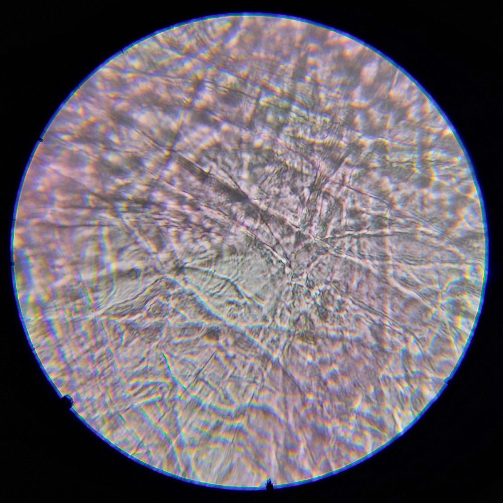 Микроскоп школьный Эврика SMART 40х-1280х в текстильном кейсе