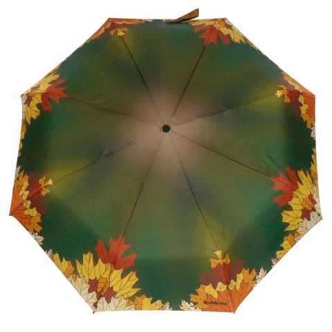 Элитный зонтик балдинини зеленый