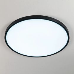 Citilux Бейсик CL738501V Светильник накладной Чёрный