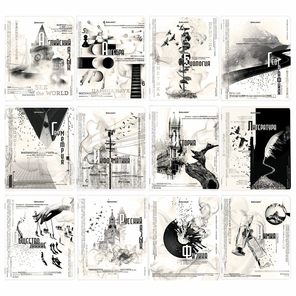 Тетради предметные комплект 12 ПРЕДМЕТОВ 48 л. матовая ламинация BRAUBERG "BLACK&WHITE" (2 штуки в упаковке)
