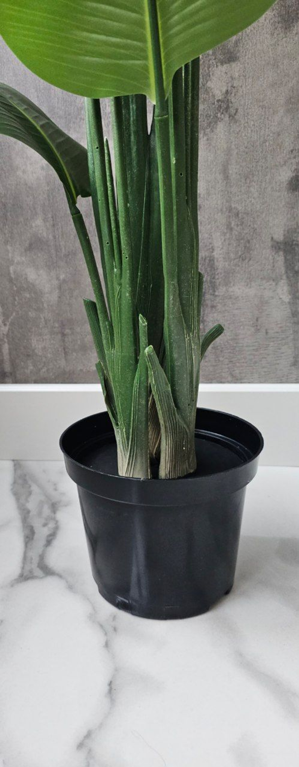 Стрелиция 150 см без кашпо / Арт 3081