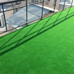 Декоративная трава H-7