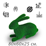 Заяц лежачий