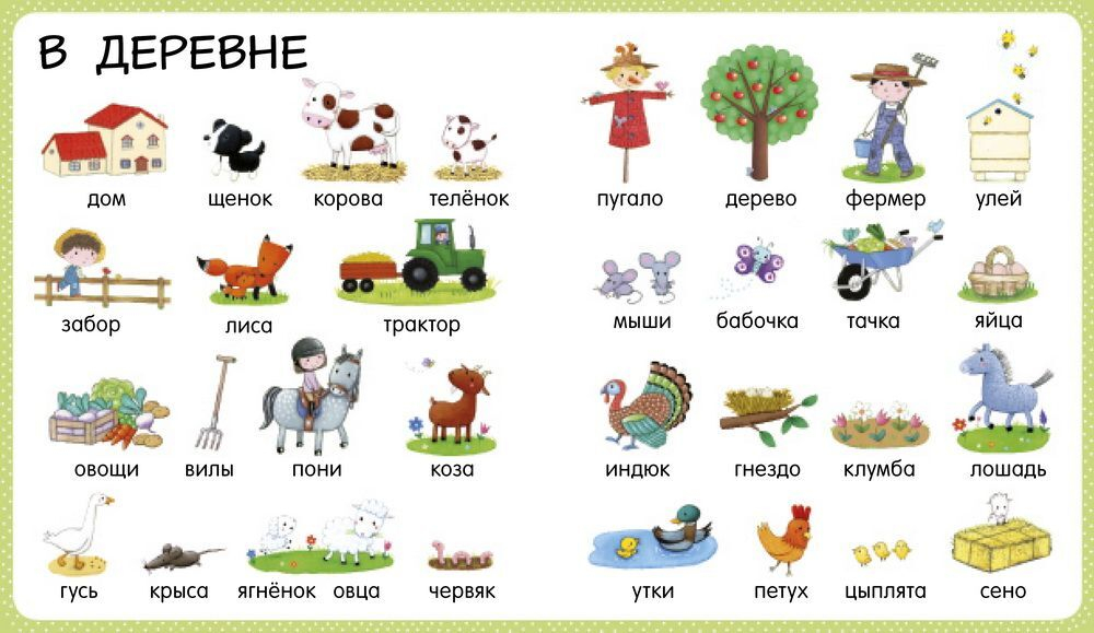 Мои первые слова. Первая книга малыша