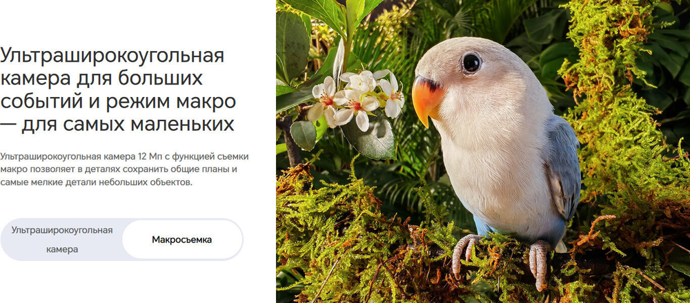 Смартфон HONOR 90 8/256 ГБ Global для РФ, Dual nano SIM, emerald green