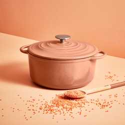 Кастрюля с крышкой Tefal LOV 29 см E2600504