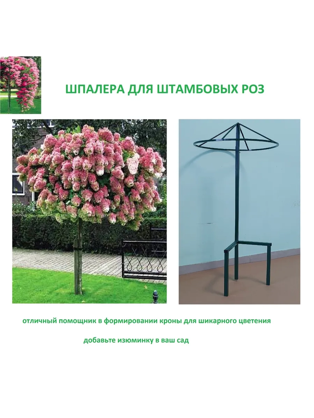 Шпалера для роз металлическая