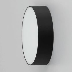 Citilux Тао CL712122N LED Светильник потолочный с диммером Чёрный