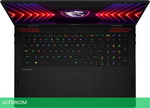 Ноутбук MSI Raider 18 HX A14VGG-014CN