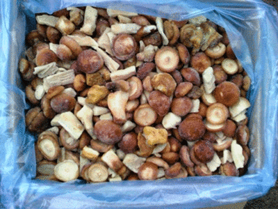 Грибная смесь (вес)