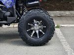 LION 200R синий
