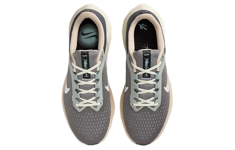 Кроссовки Nike Air Winflo 10