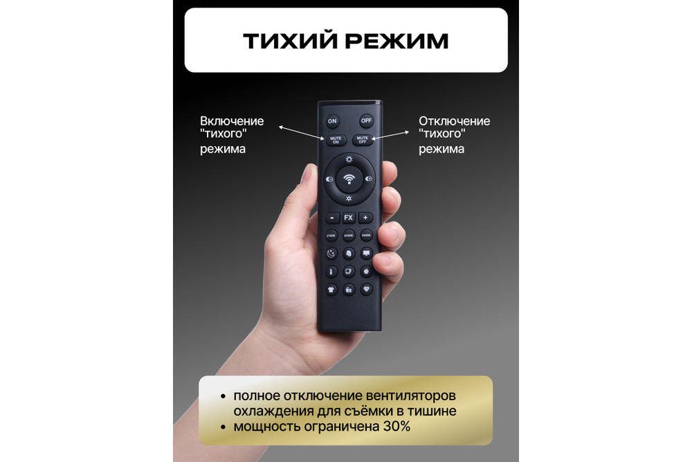 Осветитель светодиодный Raylab RL-200PRO 2700-6500K с пультом