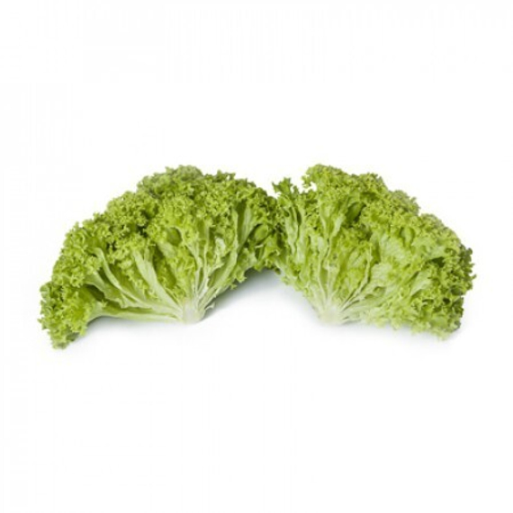 ЛУГАНО семена салата (Rijk Zwaan | Alexagro) – фото 7