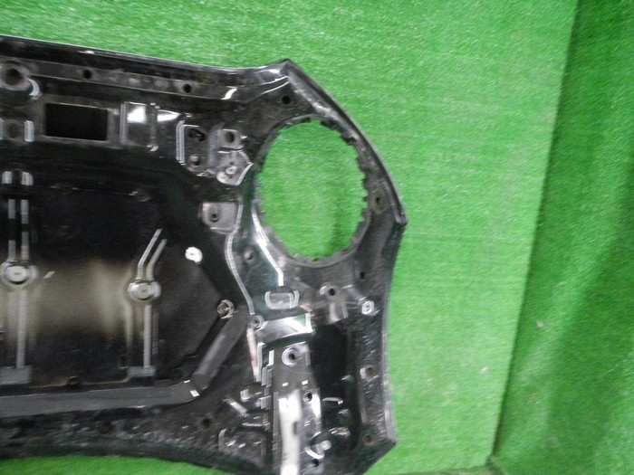DSCN8458.JPG