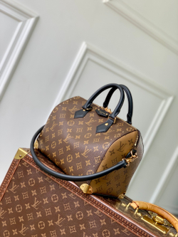 Louis Vuitton Speedy Trunk 25