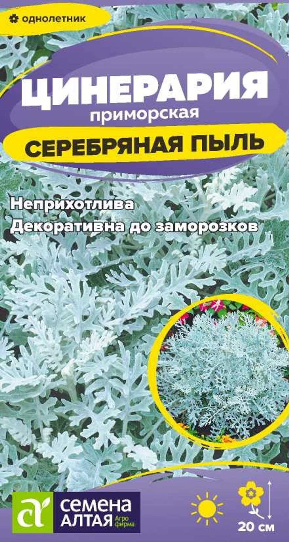 Цинерария Серебряная Пыль 0,05г Семена Алтая