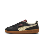 Кроссовки Puma Palermo 'Players Lane' 398525-01